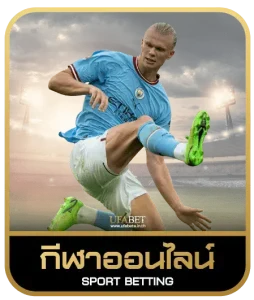VIP66 GAME เดิมพันกีฬา